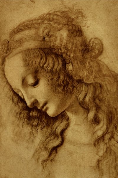 Mujer de perfil de Leonardo da Vinci